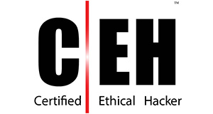 
			EC Council - Certified Ethical Hacker  
		