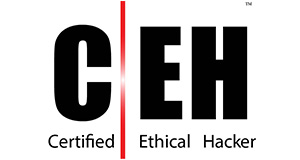 
			EC Council - Certified Ethical Hacker  
		